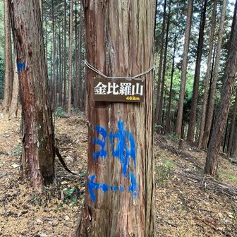 金比羅山、踏みました