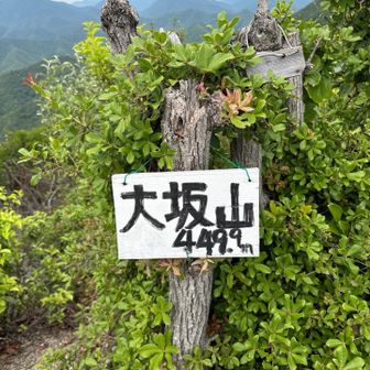峠から山頂までが急登で心が折れそうでした。