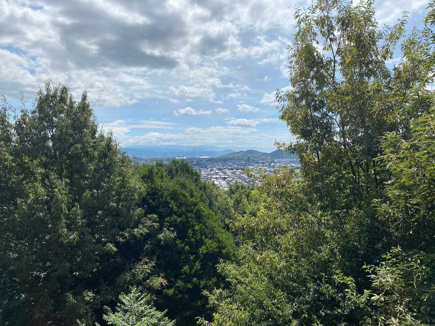 景色は良いけどちょっとしか見えない😅
