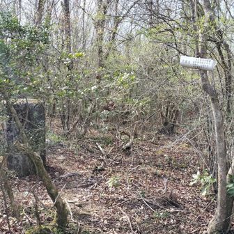 一等三角点なので三角点だけでなく、天測点もあるみたいです。