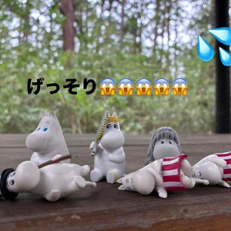 いました🙆‍♀️🙆‍♀️🙆‍♀️

ムーミン一家です♪♪♪
すっかり　ぐったり、げっそりッポイ😱

阿須山にいました😭