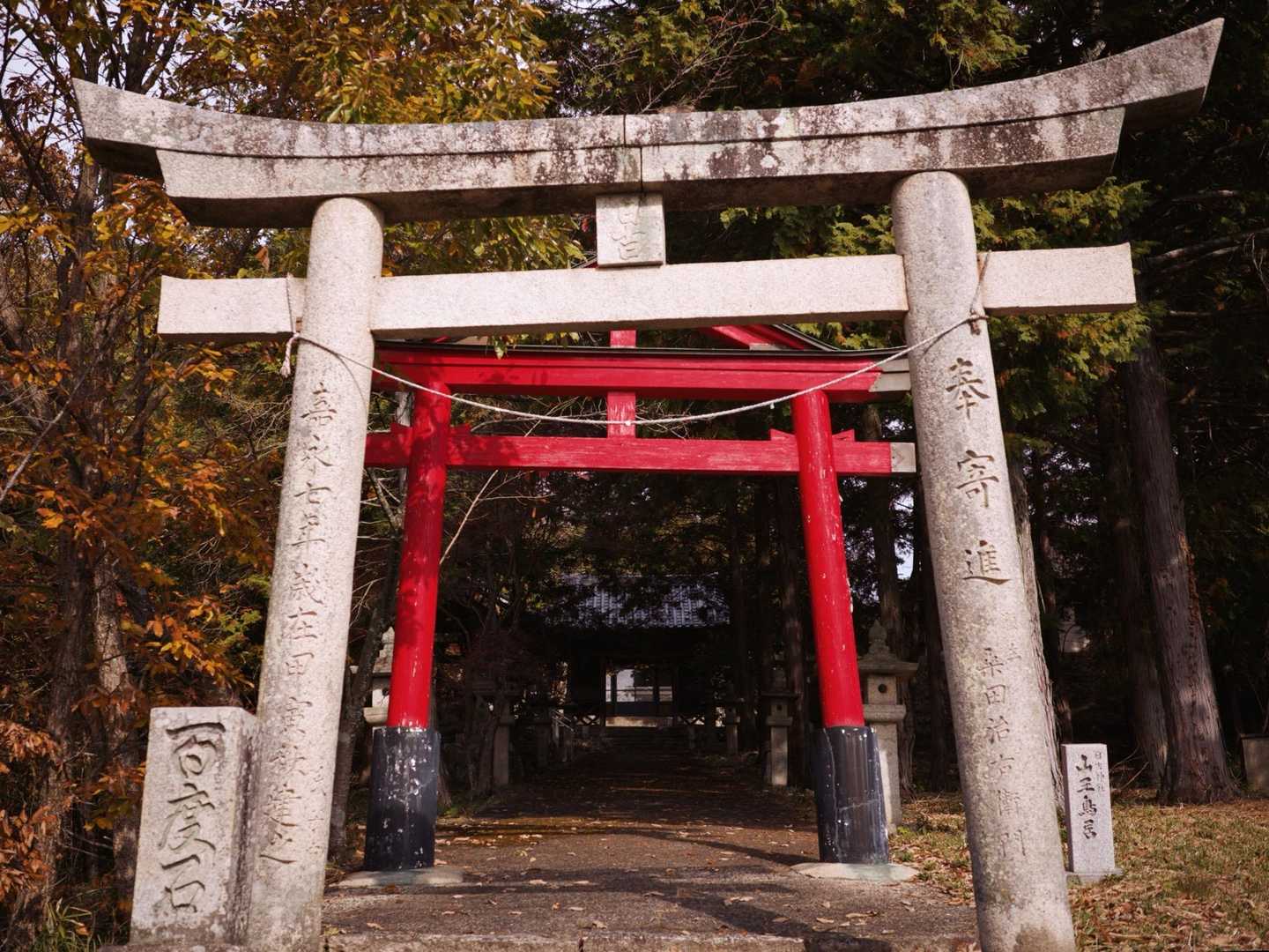 やっぱり撮っちゃう。