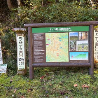 やっとこさ登山口💦
バテたバテた🤣
林道4キロは長すぎる🙇