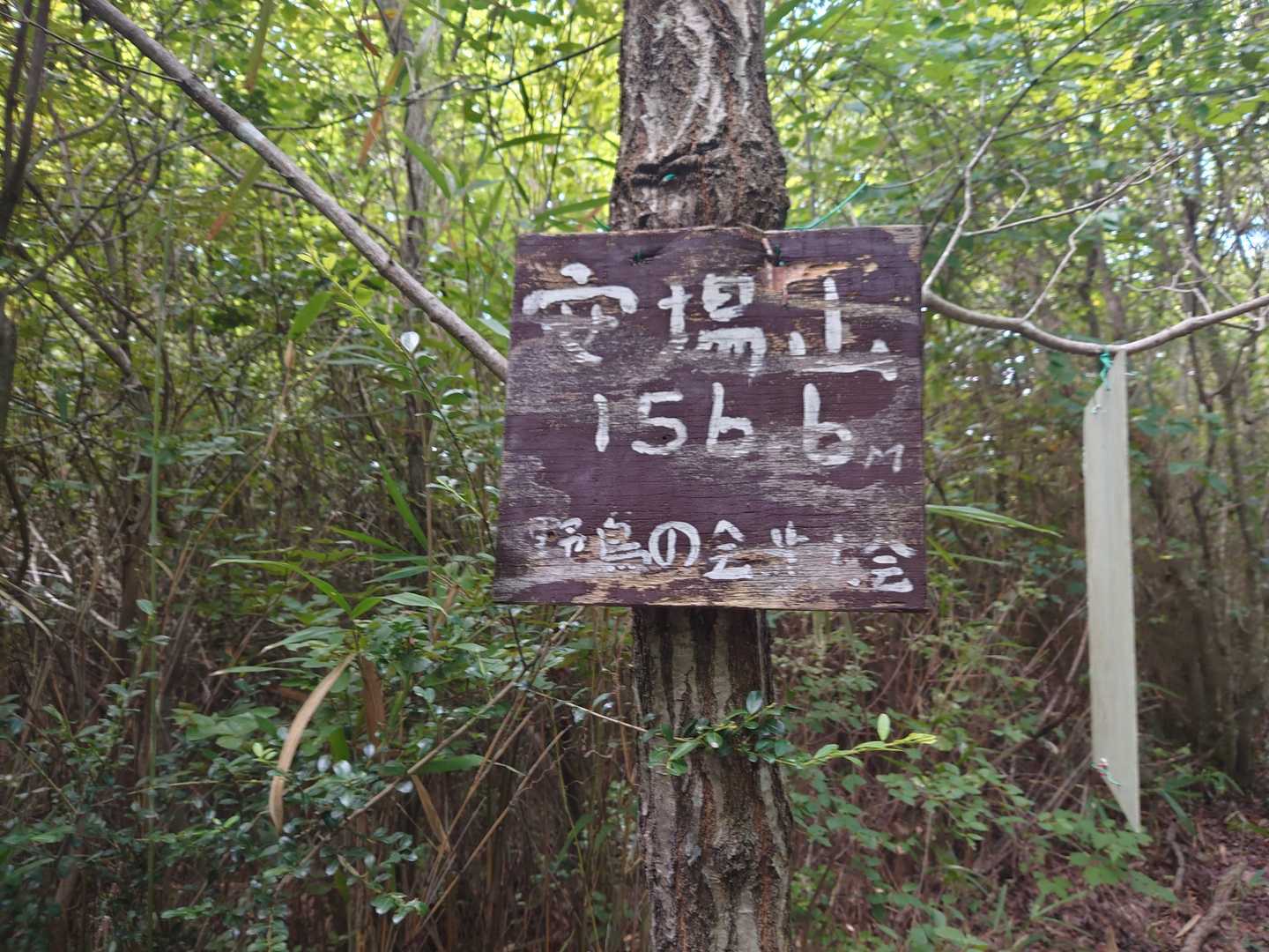 安場山156.6m
暑い・・・
持ってきた水分の半分以上を飲み干してしまった・・・帰りの体力と水分補給を考えると総山までは無理・・・
総山を諦めて元来た道を帰ります。
