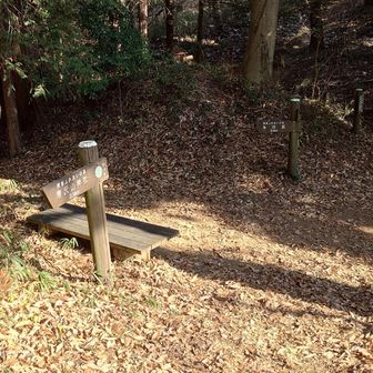 京路戸峠、諏訪山に登る予定だっだが、止めて多田駅に下山した