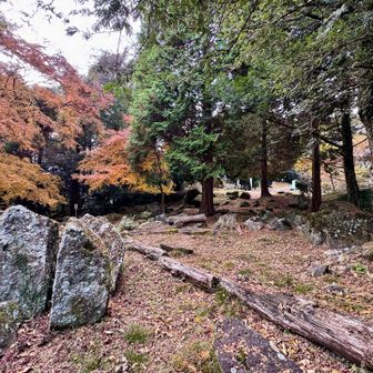 …と思って来てみたけど
特になにもなかった
曲輪の跡みたい…