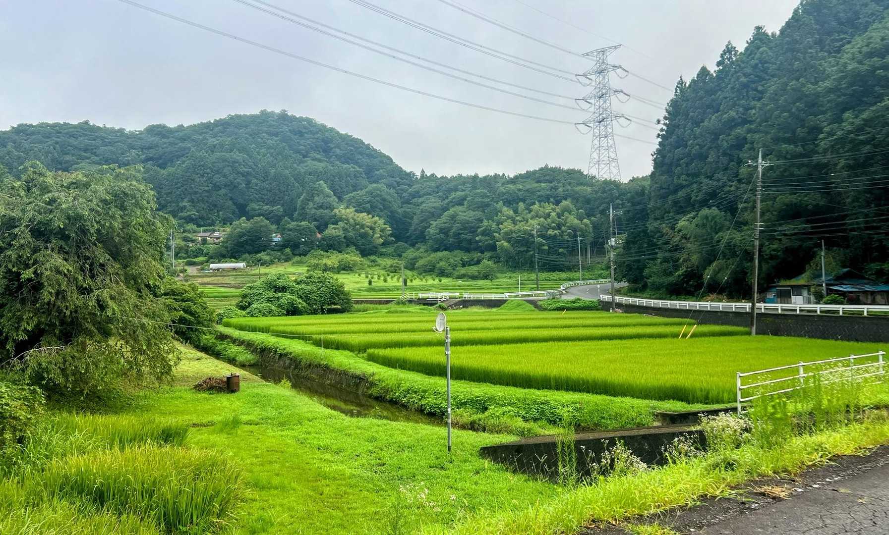 田園風景🌾