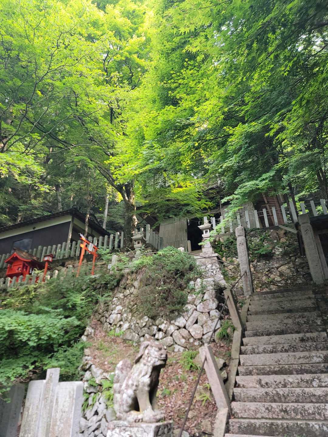 青倉山 往復コースの写真