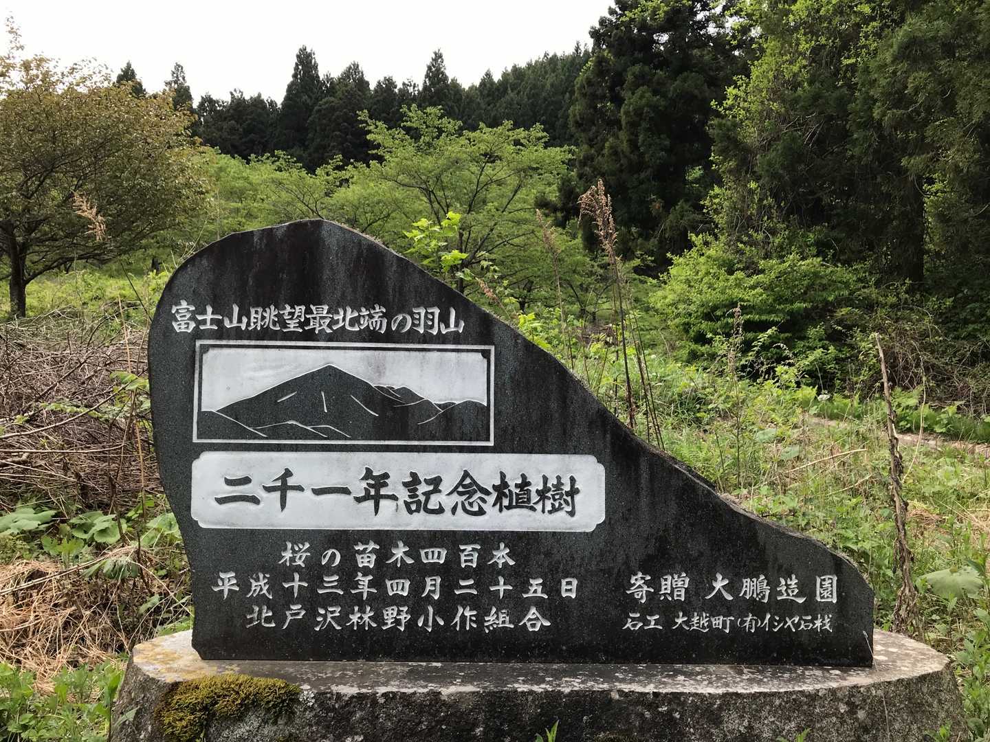 麓山 往復コースの写真