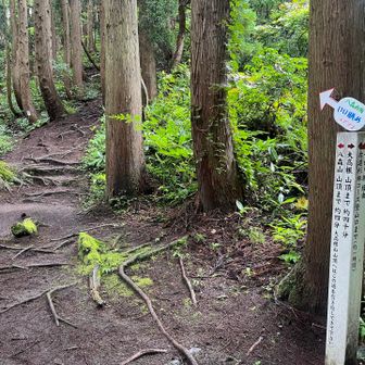 そして最後の山頂へ。「いい眺め スグソコ」らしい。