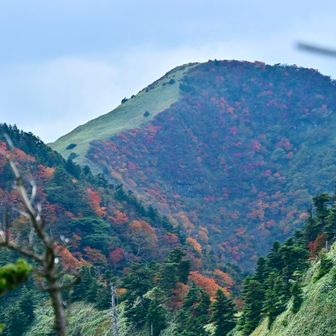 鞍瀬ノ頭の紅葉も綺麗😍行ってみたいねー😍