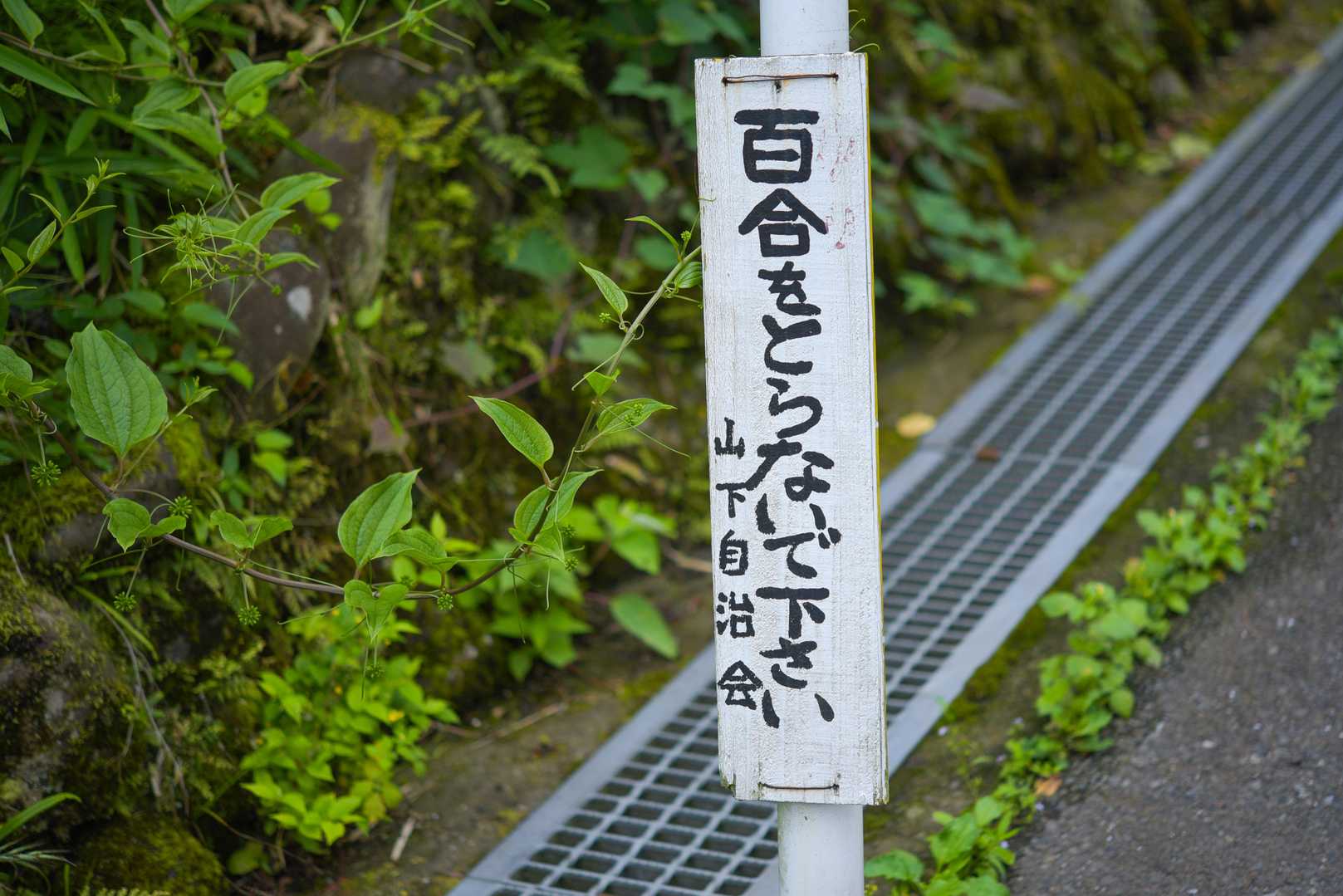とらないで！