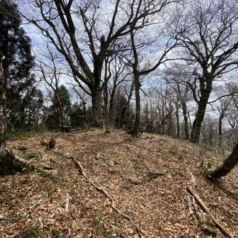 山頂はこんな感じ