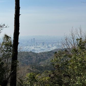 箕面一望！　そして道を間違える　北側にいっちゃダメなんよね　標識すぐ西側！