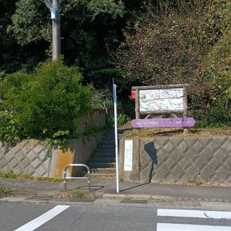 梅沢口