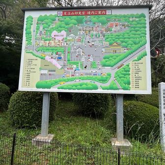 歴史のある大きな足立山妙見偶然⛩️