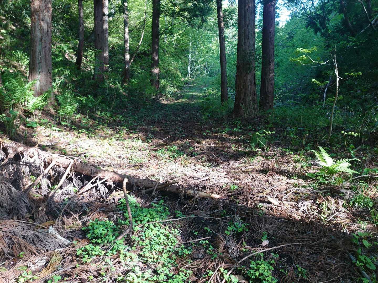 街道は、こんな感じです。
なん百年前 から 変わってないよね。
多分？