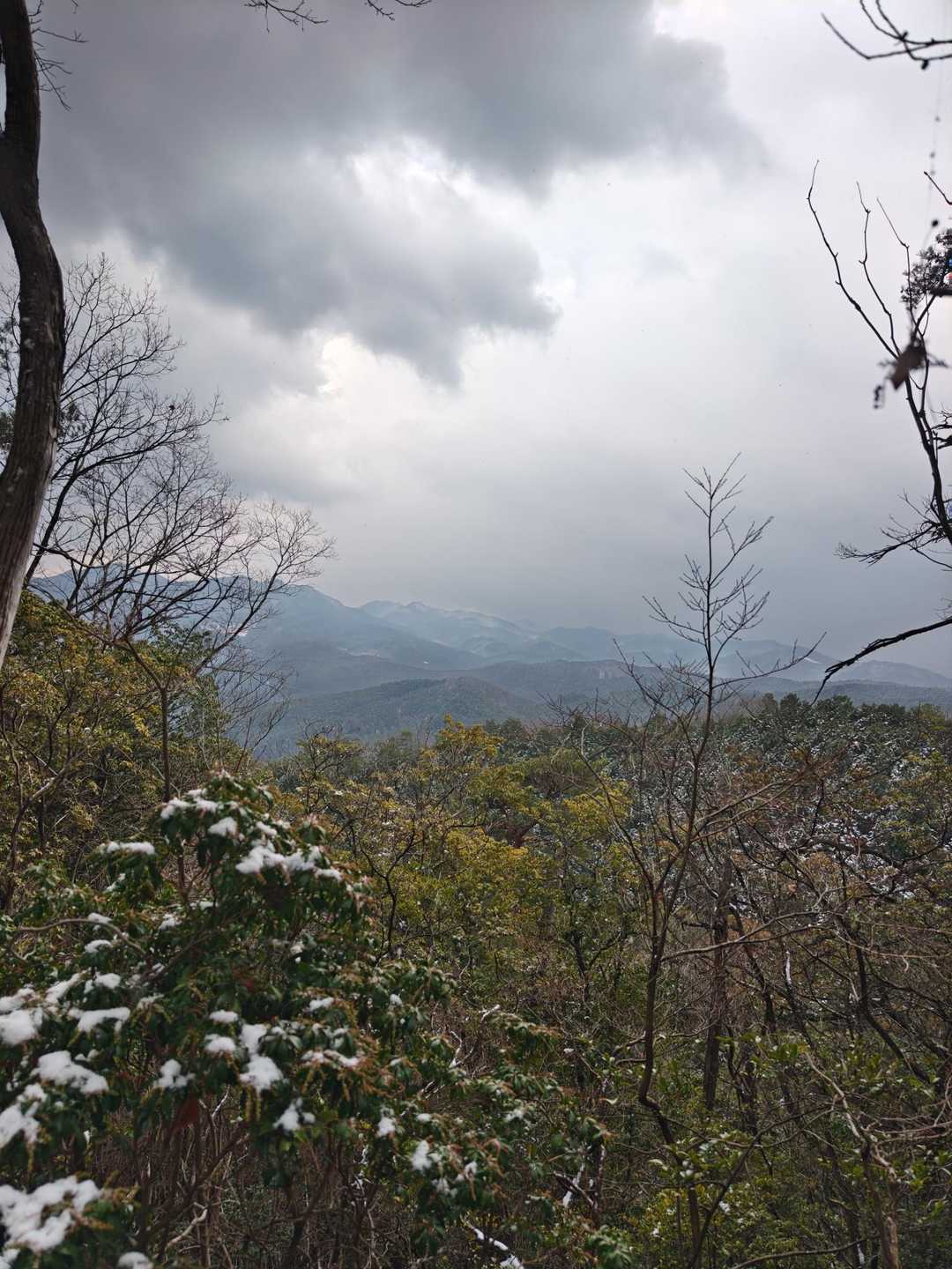伊那佐山-井足岳 縦走コースの写真
