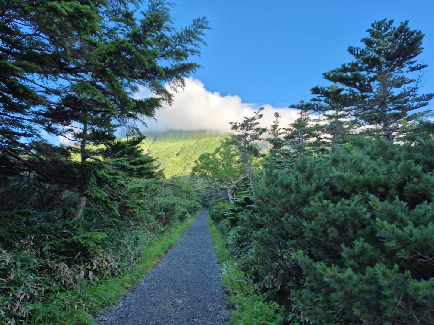 初めは御嶽山を望みながら緩やかな道