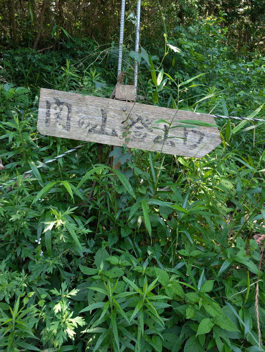 大山林道にある駐車場の看板。
最近は、８時を待たず満車になっているようです。
止められない時は、関の山駐車場へお回り下さい。
そちらは、８時半に開場しますよ〜。
夏時間で、７時くらいには、開けてくれると嬉しいんだけど。