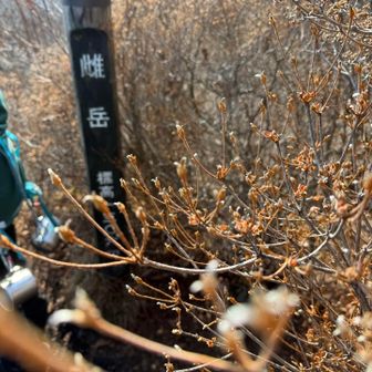 雌岳❣️ここで他の登山者と暫しお喋り