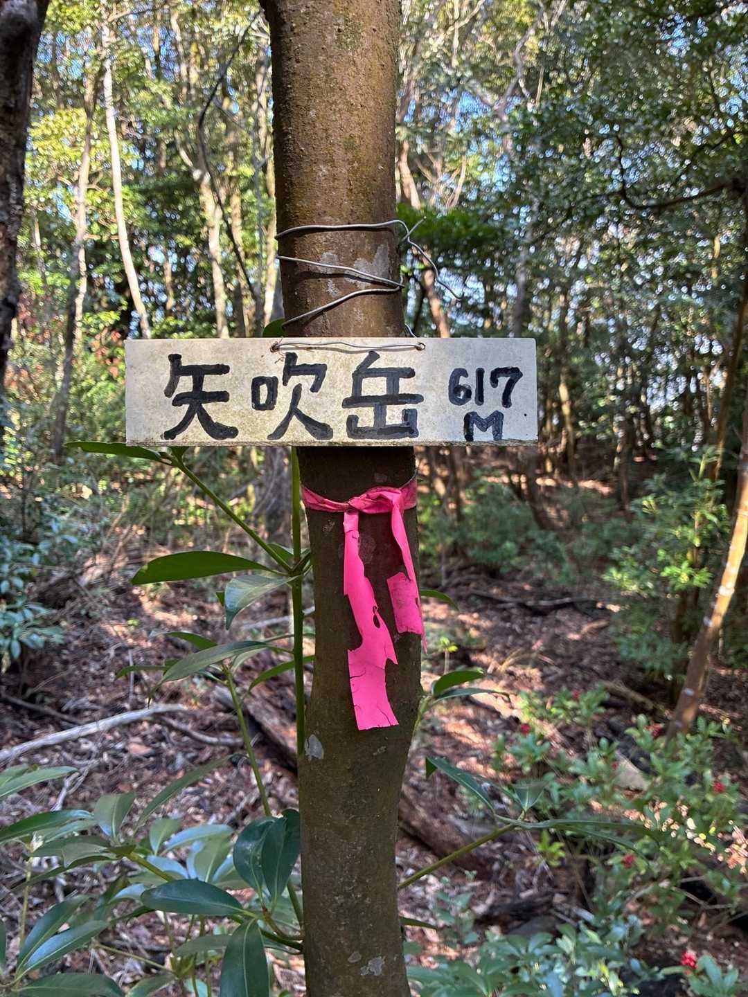 今日四座目の矢吹岳いただき。