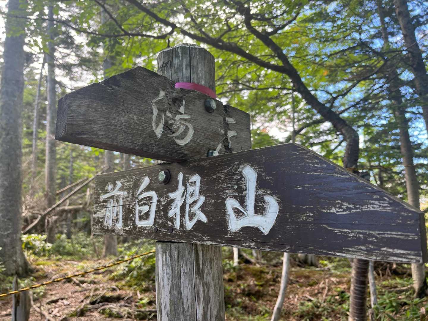 おぉ〜出てきた前白根山の看板が❗️