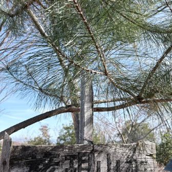 各務原の権現山