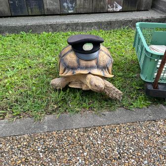 道の駅の駅長さん