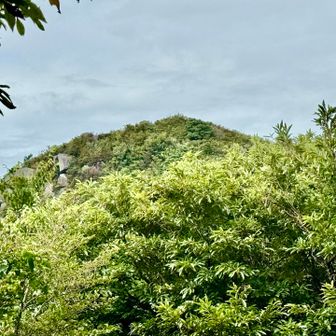 降ったとこから、気功岳を見上げる