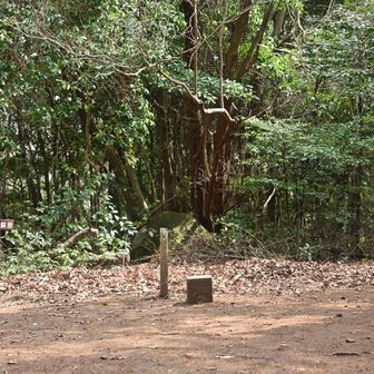 ちょいちょい人が訪れてましたが、基本静かでした