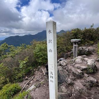 山頂