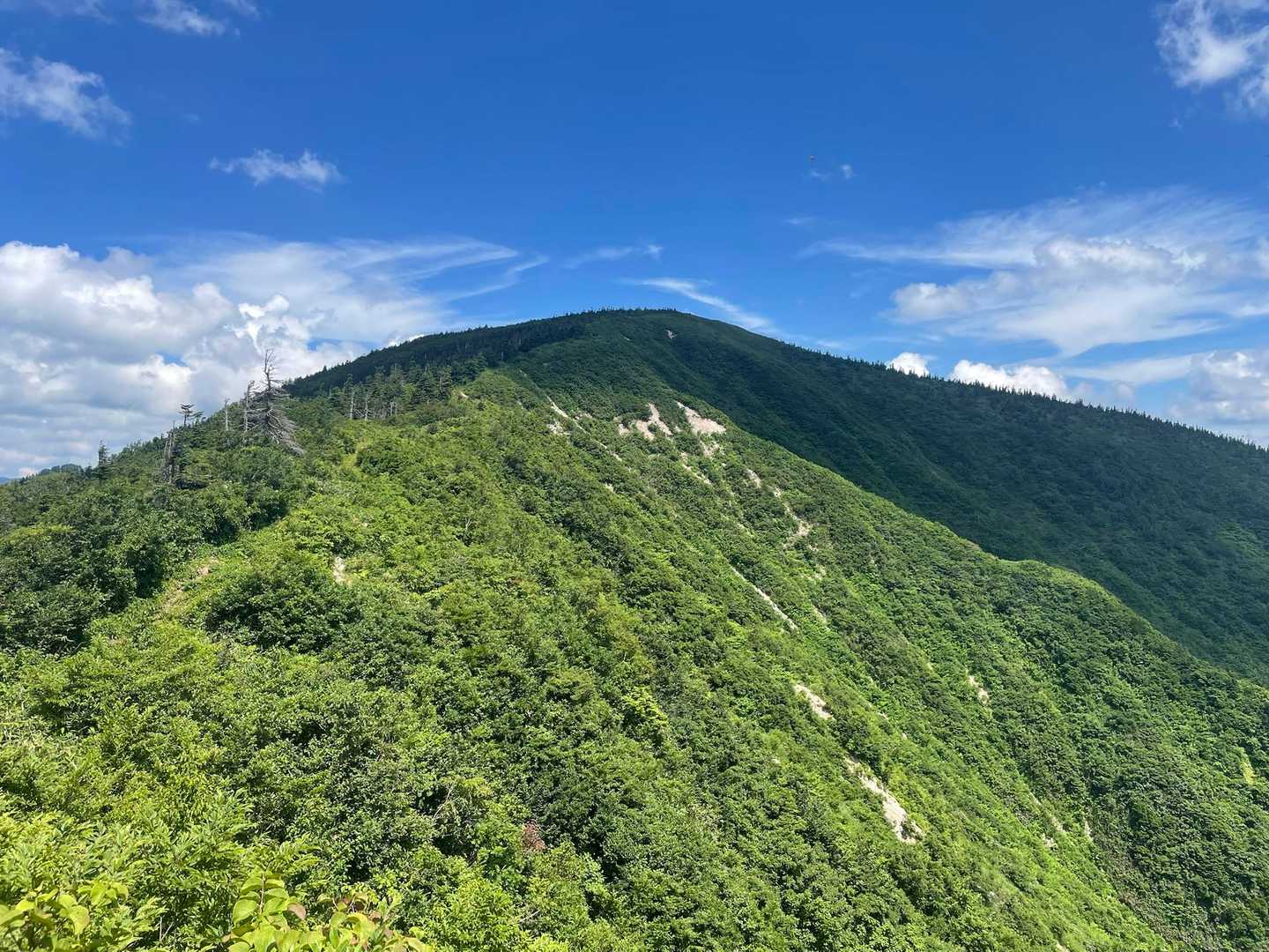 三岩岳-窓明山-巽沢山 縦走コースの写真