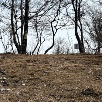 登り 苦しい〜😫