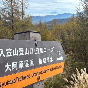 ずっといたいけど、さあ
下山します。迂回コースで。
遠くに富士山🗻