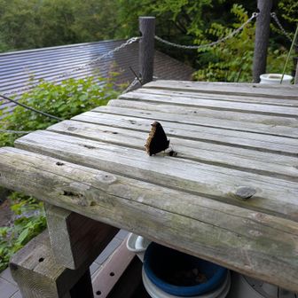 いい湯でした
秘湯の会の温泉はやっぱりクオリティ高い👍️