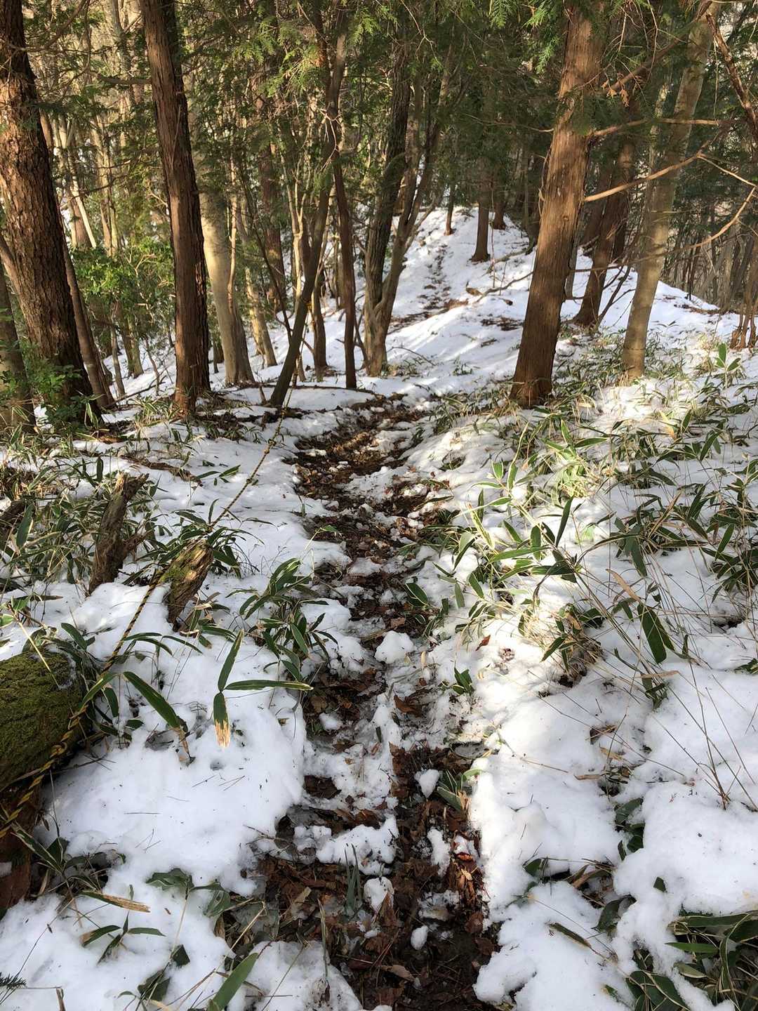 さて山頂から
周回の西側の登山道を下ります🏃‍♂️