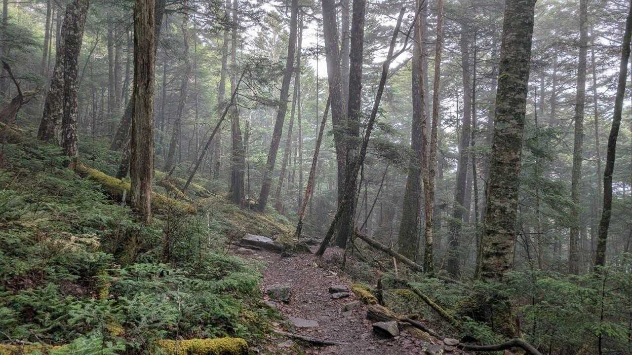 歩きやすい👣