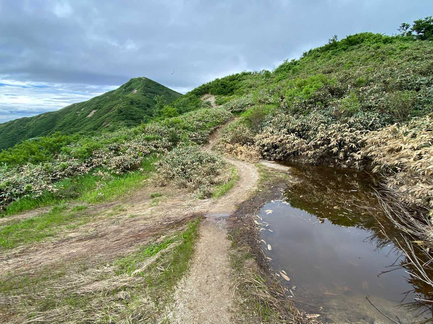 古寺山下の池塘