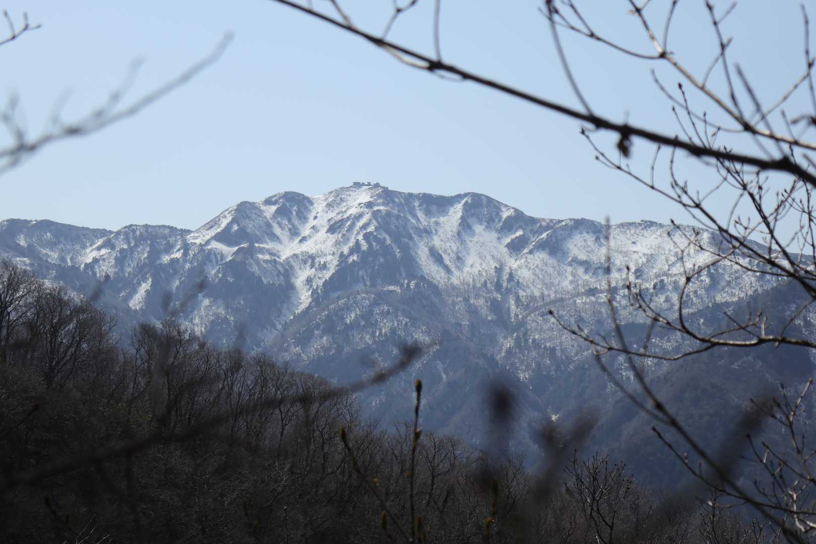 この山は？