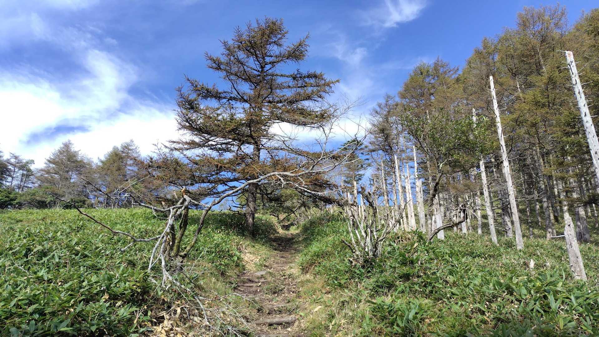 ｳﾝｳﾝ🎵