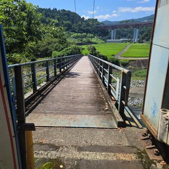 わりとしっかり木の板がメキメキしてた…