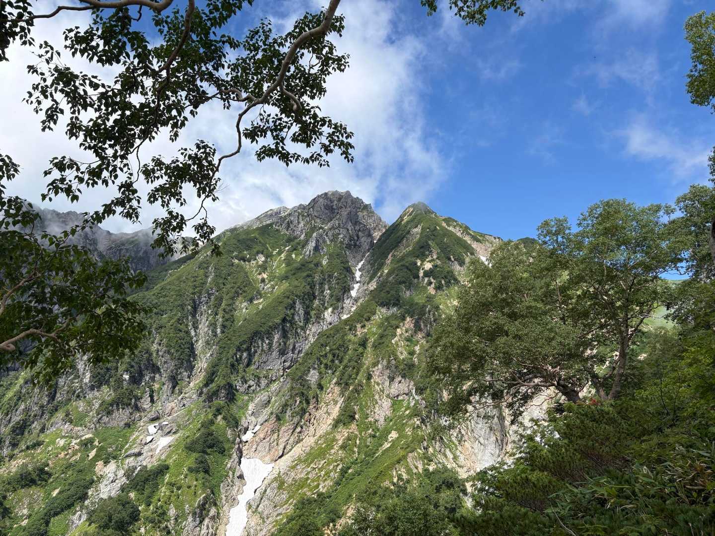 アルプス平〜遠見尾根〜五竜岳 往復コースの写真