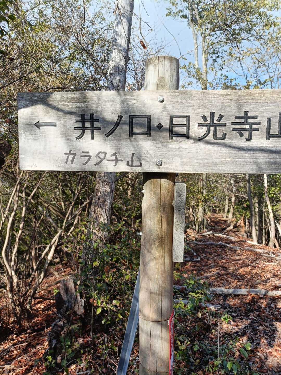 カラタチ山は左⬅