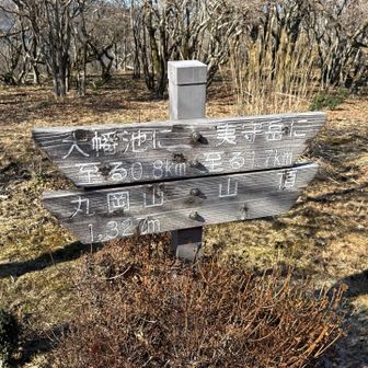 三角点は無いが 表示は有る