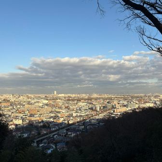 西日にうかぶ都心方面の眺望がとても良かったです。
多摩川やスカイツリーもうっすらと見えました。
子どもたちは都心に向かって進んでいく電車をずっと目で追っていました!