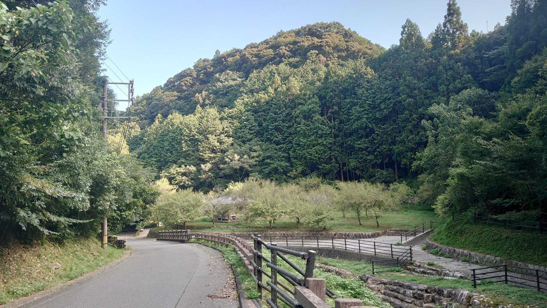 鴻ノ峰 下山