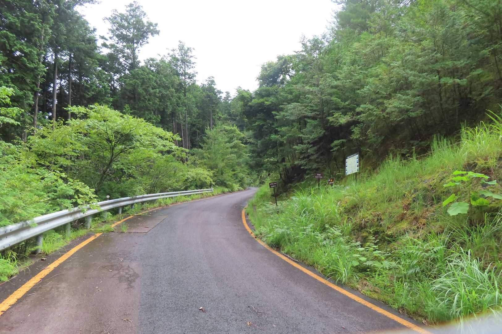 林道を数分
登山口です
右上へ進みます