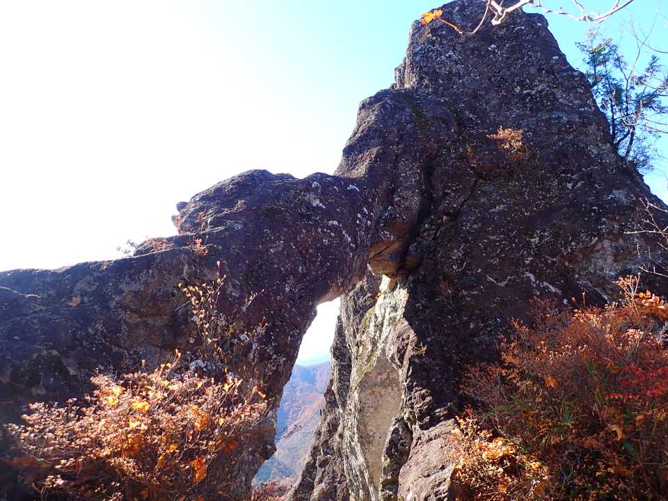 怖くて動けず・・・
全景うまく撮れません💦