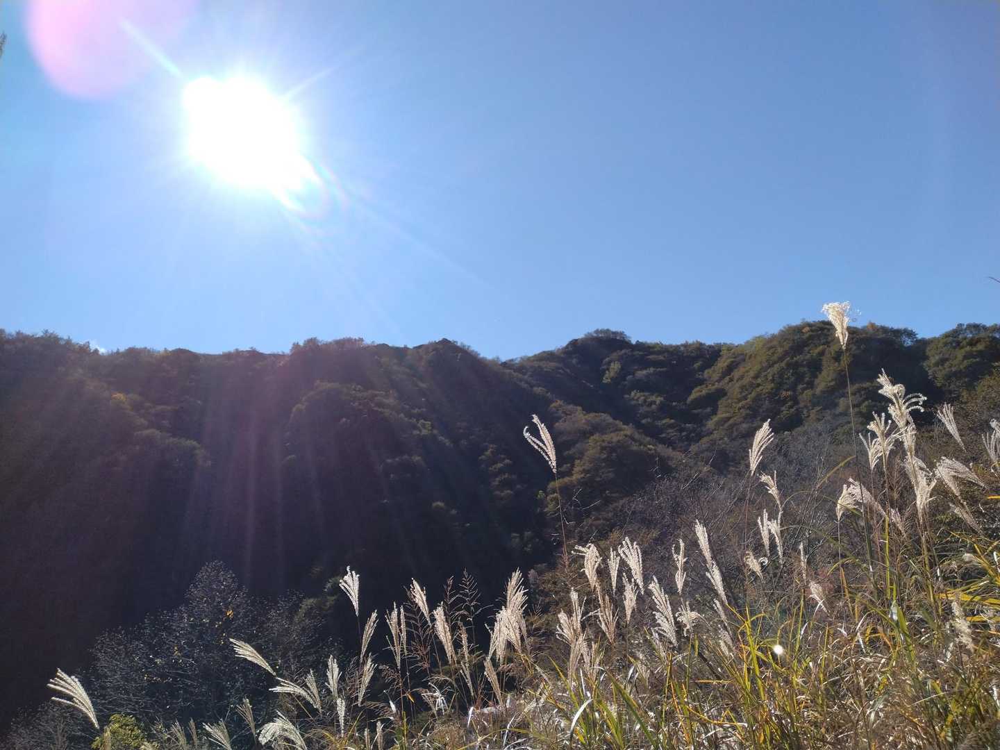 銅親水公園-中倉山 往復コースの写真